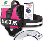 Service Dog Vest with Hook and Loop Straps and Handle - Harness Is Available in 8 Sizes from XXXS to XXL - Service Dog Harness Features Reflective Patch and Comfortable Mesh Design Bright Red