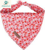 Lionet Paws Dog Bandana for Small Medium Large Dogs, Cat Kerchief Blue DOIT, Triangle Bibs Scarf for Girl or Boy