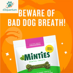 Minties Dental Chews for Small Dogs, 40 Count - Veterinarian-Recommended Mint-Flavored Treats for Dogs Weighing 5-24 lbs, Promotes Oral Hygiene by Reducing Plaque, Tartar, and Bad Breath