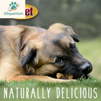 Cadet Gourmet Chicken & Apple Wrapped Dog Treats Wraps - Healthy & Natural Chicken & Apple Dog Training Treats for Small & Large Dogs - Inspected & Tested in USA (28 Oz.)