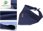 Lionet Paws Dog Bandana for Small Medium Large Dogs, Cat Kerchief Blue DOIT, Triangle Bibs Scarf for Girl or Boy