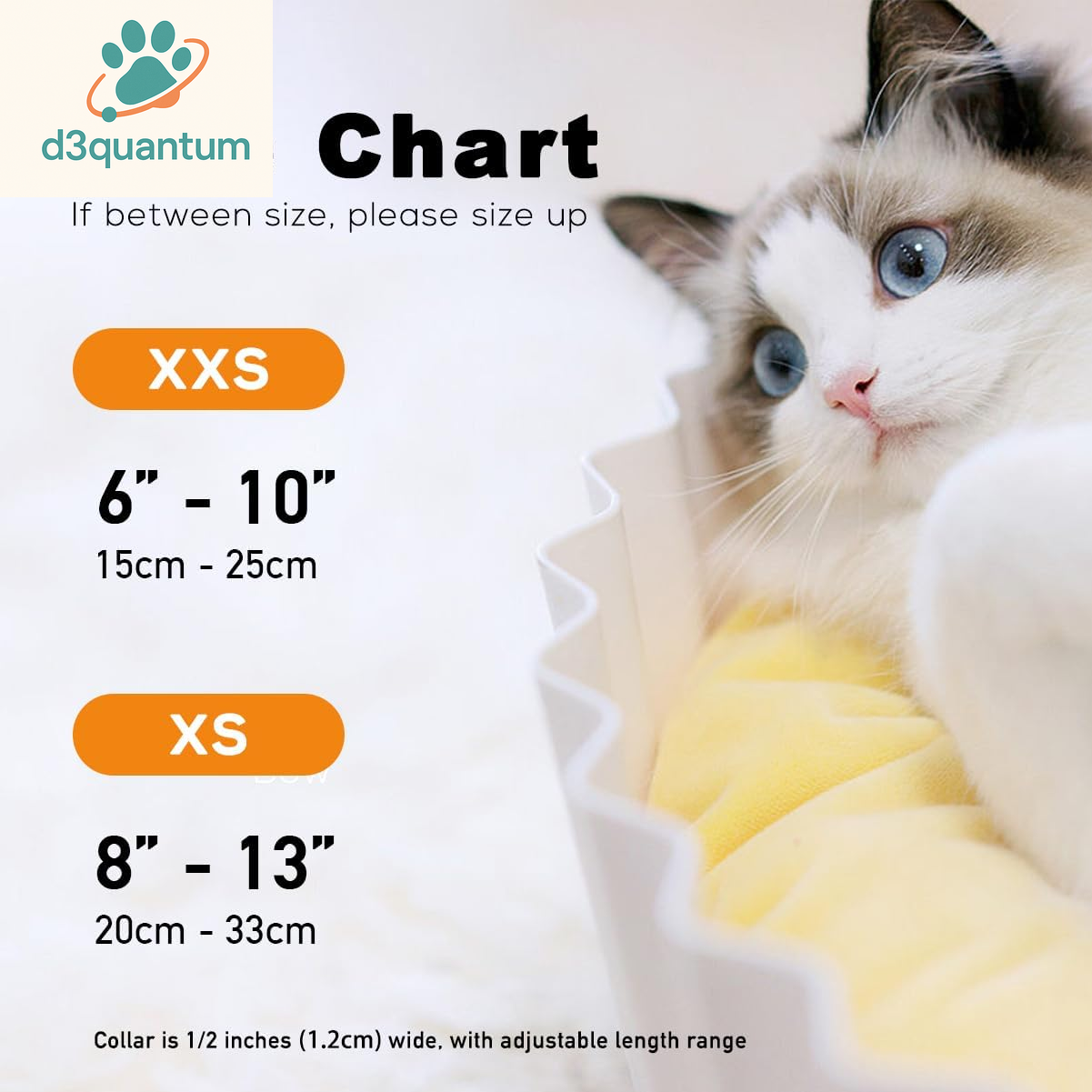 Sushi-Themed Breakaway Safety Collar and Bowtie Set for Kittens - Ideal for Weddings and Birthdays