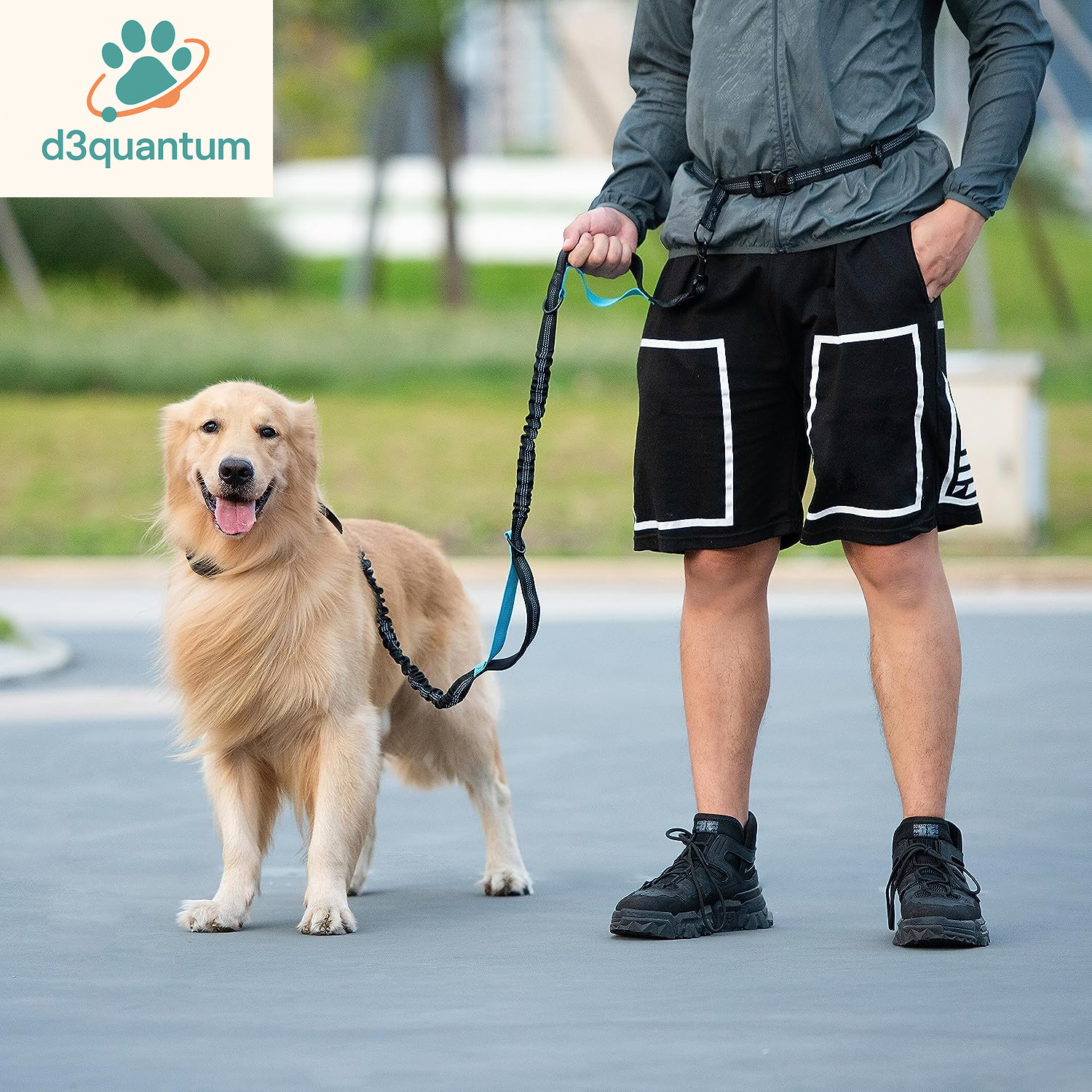 Iyoshop Hands-Free Dog Leash with Zipper Pouch, Dual Padded Handles, and Durable Bungee for Walking, Jogging, and Running (Medium, 8-25 lbs, Black)
