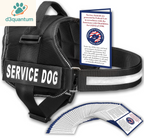 Service Dog Vest with Hook and Loop Straps and Handle - Harness Is Available in 8 Sizes from XXXS to XXL - Service Dog Harness Features Reflective Patch and Comfortable Mesh Design Bright Red